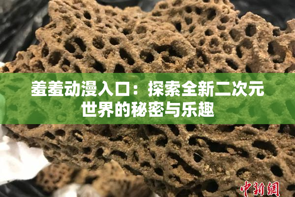 羞羞动漫入口：探索全新二次元世界的秘密与乐趣