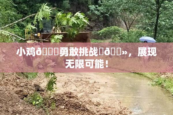 小鸡🐔勇敢挑战‌🐻，展现无限可能！