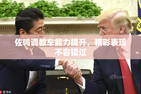 佐鸣调教车能力提升，精彩表现不容错过