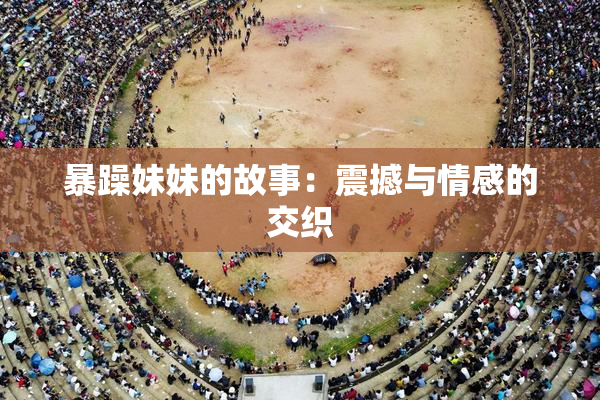暴躁妹妹的故事：震撼与情感的交织