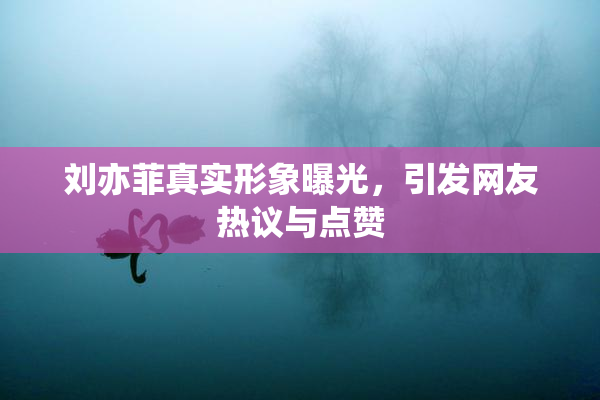 刘亦菲真实形象曝光，引发网友热议与点赞