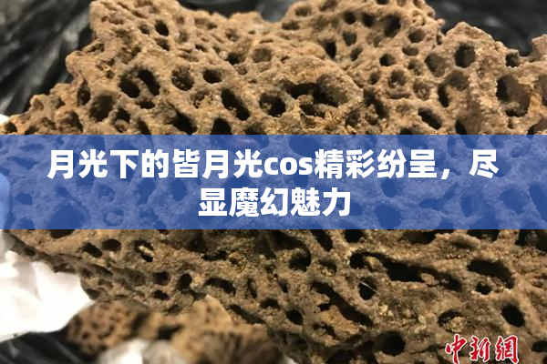 月光下的皆月光cos精彩纷呈，尽显魔幻魅力