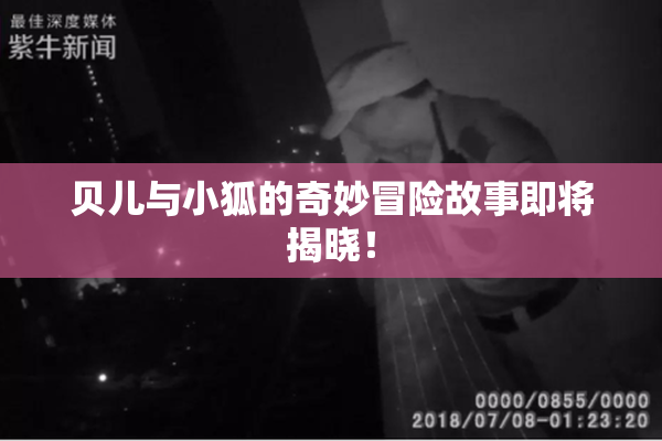 贝儿与小狐的奇妙冒险故事即将揭晓！