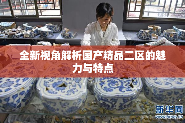 全新视角解析国产精品二区的魅力与特点