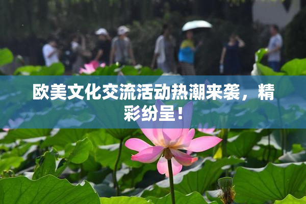 欧美文化交流活动热潮来袭，精彩纷呈！