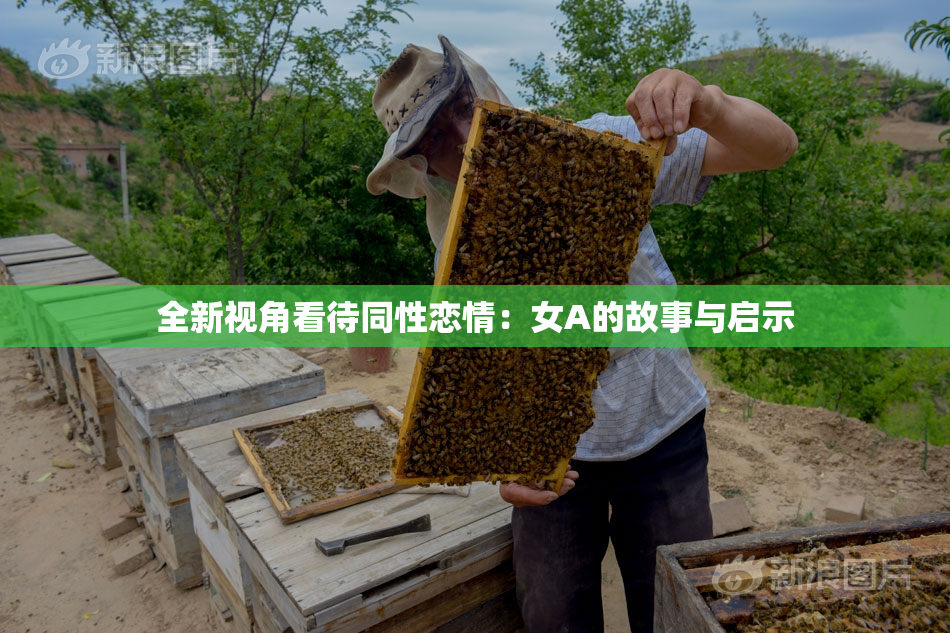全新视角看待同性恋情：女A的故事与启示