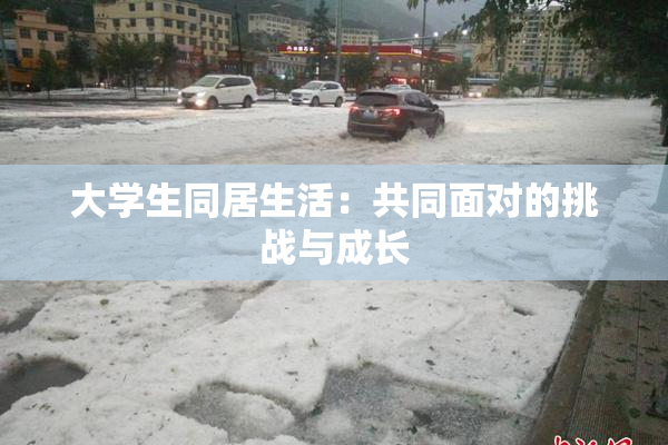 大学生同居生活：共同面对的挑战与成长