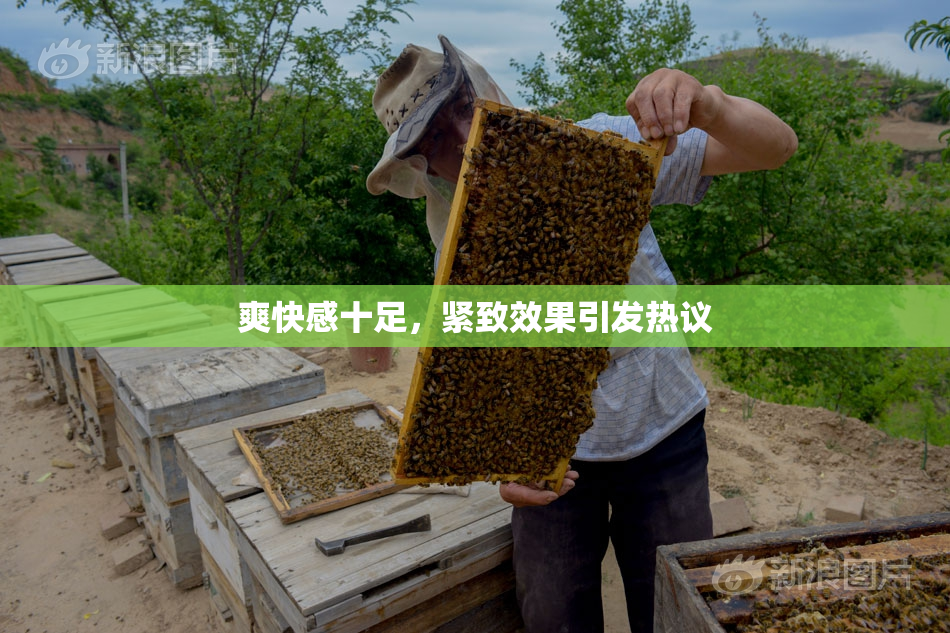 爽快感十足，紧致效果引发热议