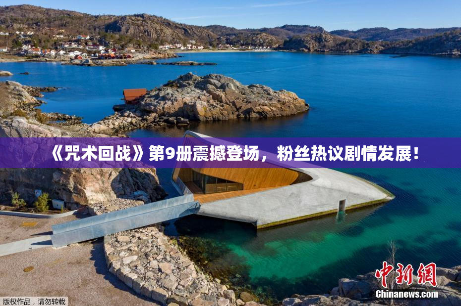 《咒术回战》第9册震撼登场，粉丝热议剧情发展！