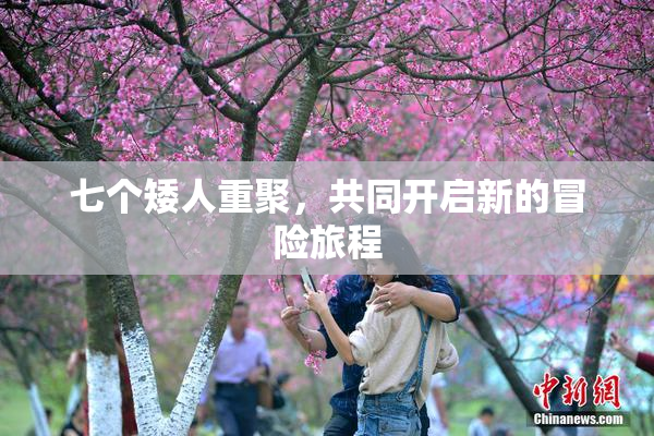 七个矮人重聚，共同开启新的冒险旅程