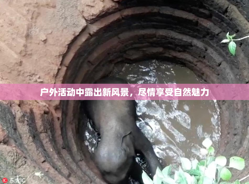 户外活动中露出新风景，尽情享受自然魅力