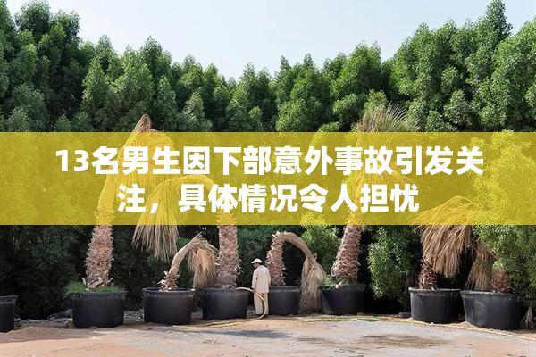 13名男生因下部意外事故引发关注，具体情况令人担忧