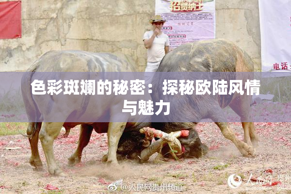 色彩斑斓的秘密：探秘欧陆风情与魅力