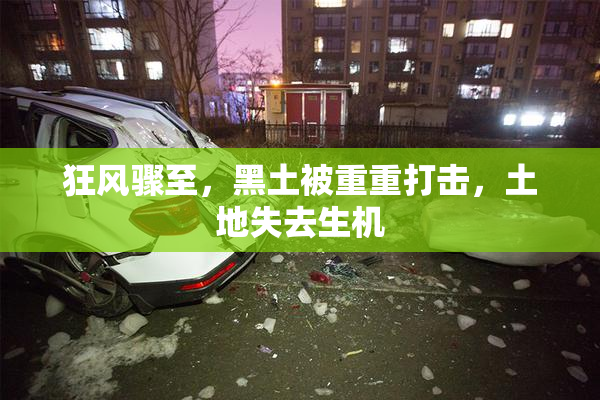 狂风骤至，黑土被重重打击，土地失去生机