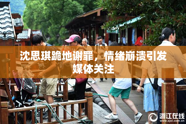 沈思琪跪地谢罪，情绪崩溃引发媒体关注