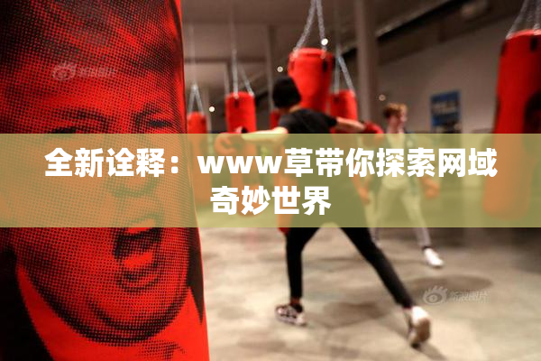 全新诠释：www草带你探索网域奇妙世界