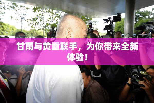 甘雨与黄重联手，为你带来全新体验！