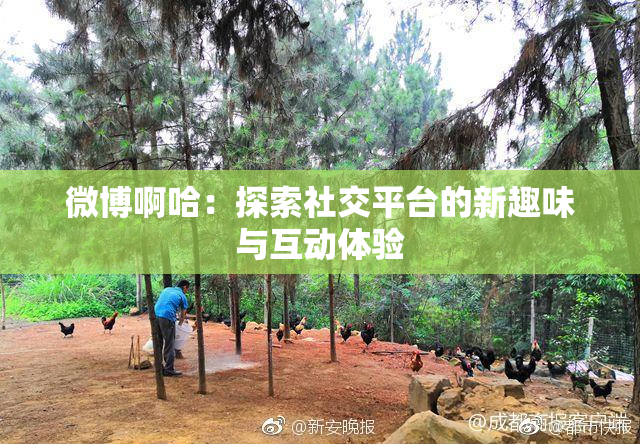 微博啊哈：探索社交平台的新趣味与互动体验