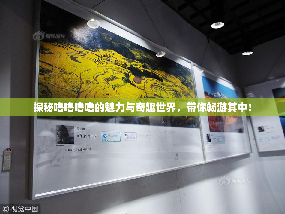 探秘噜噜噜噜的魅力与奇趣世界，带你畅游其中！