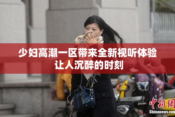 少妇高潮一区带来全新视听体验 让人沉醉的时刻
