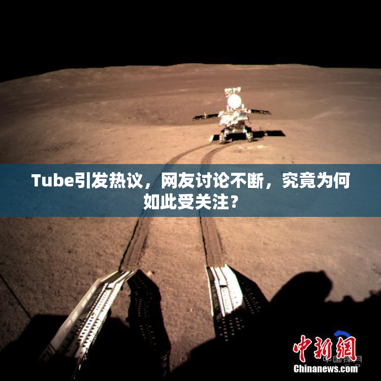 Tube引发热议，网友讨论不断，究竟为何如此受关注？
