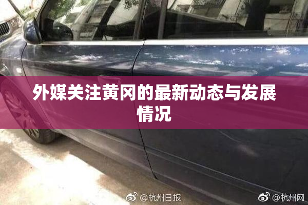 外媒关注黄冈的最新动态与发展情况