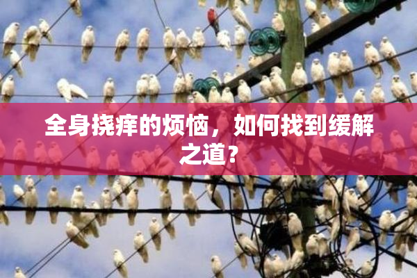 全身挠痒的烦恼，如何找到缓解之道？