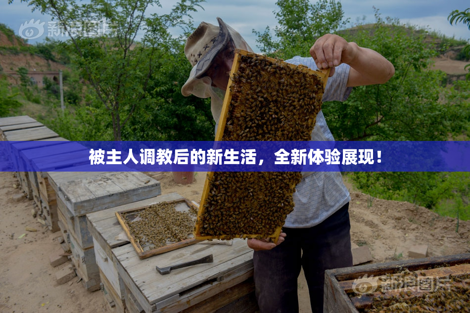被主人调教后的新生活，全新体验展现！