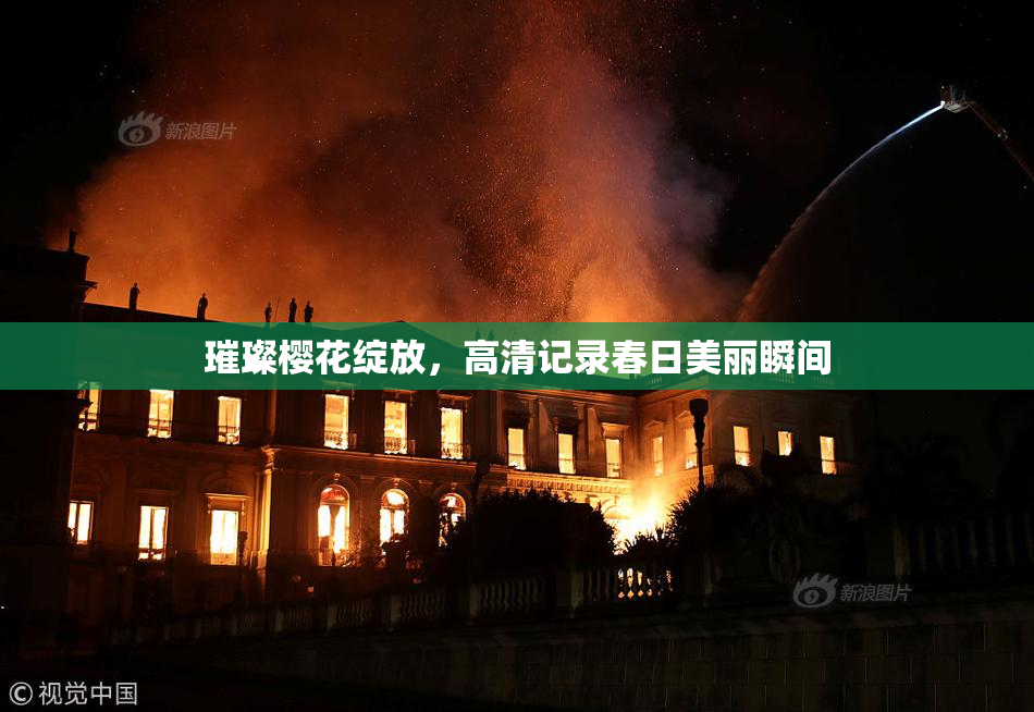 璀璨樱花绽放，高清记录春日美丽瞬间