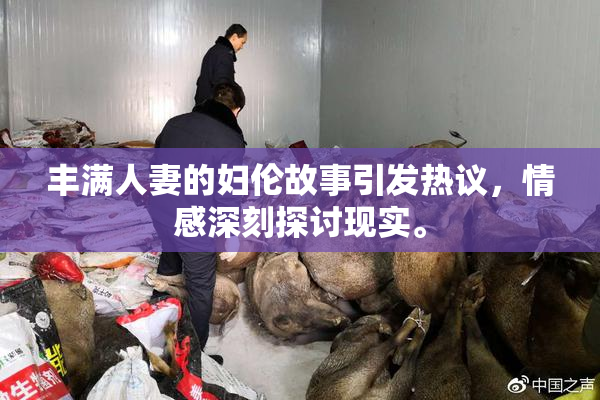 丰满人妻的妇伦故事引发热议，情感深刻探讨现实。