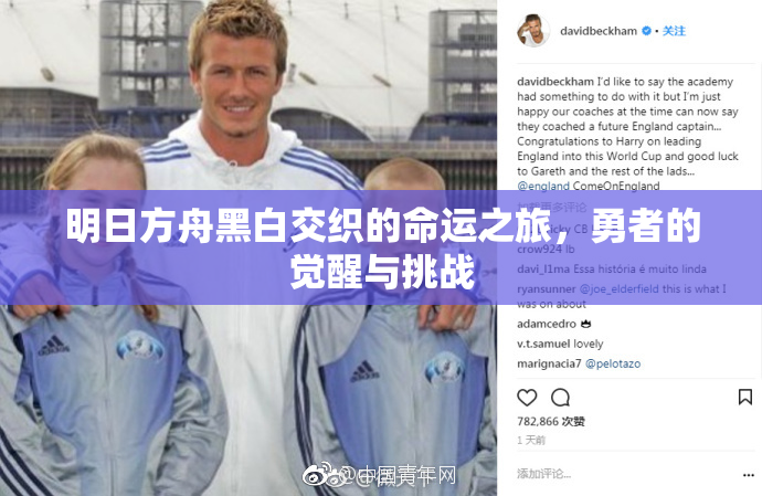 明日方舟黑白交织的命运之旅，勇者的觉醒与挑战
