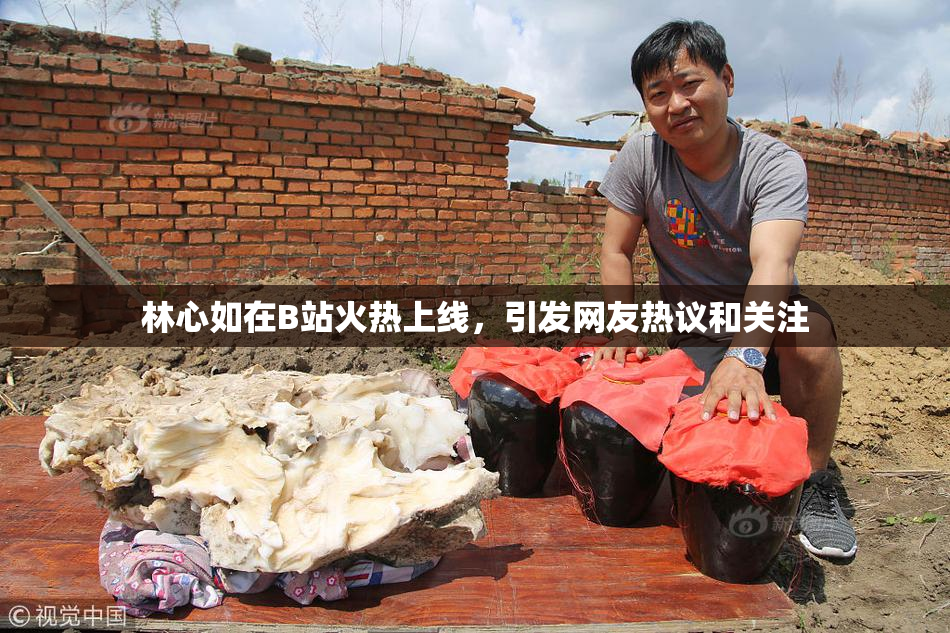 林心如在B站火热上线，引发网友热议和关注
