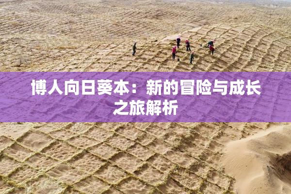 博人向日葵本：新的冒险与成长之旅解析