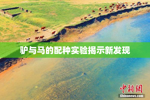 驴与马的配种实验揭示新发现