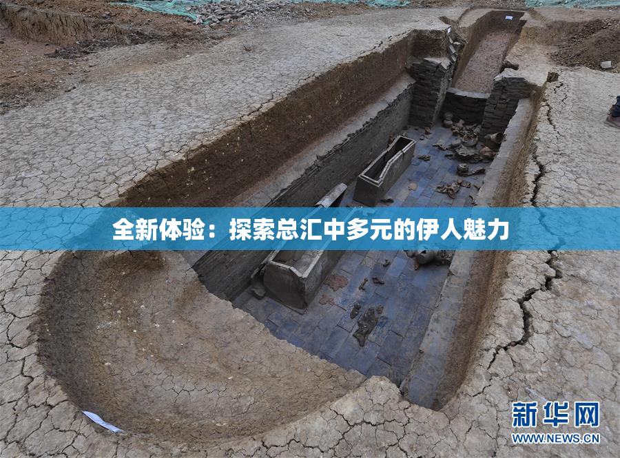 全新体验：探索总汇中多元的伊人魅力