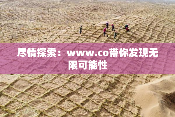 尽情探索：www.co带你发现无限可能性
