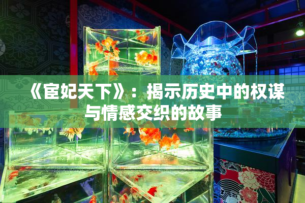 《宦妃天下》：揭示历史中的权谋与情感交织的故事