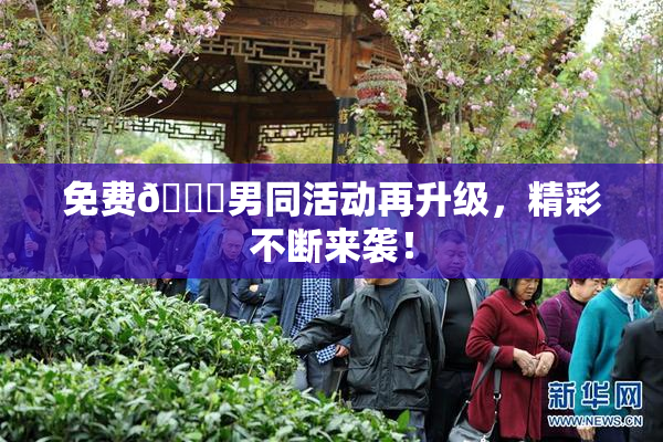 免费🔞男同活动再升级，精彩不断来袭！