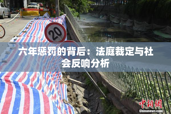 六年惩罚的背后：法庭裁定与社会反响分析