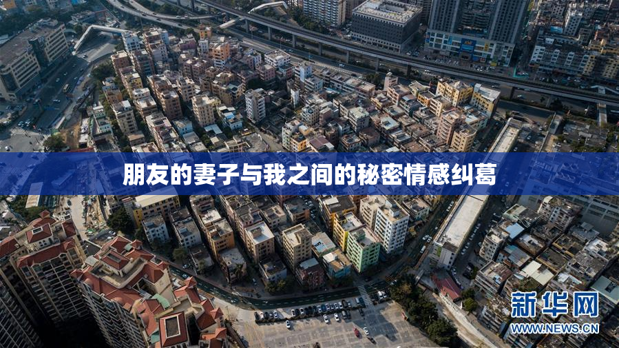 朋友的妻子与我之间的秘密情感纠葛