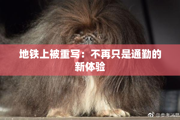 地铁上被重写：不再只是通勤的新体验