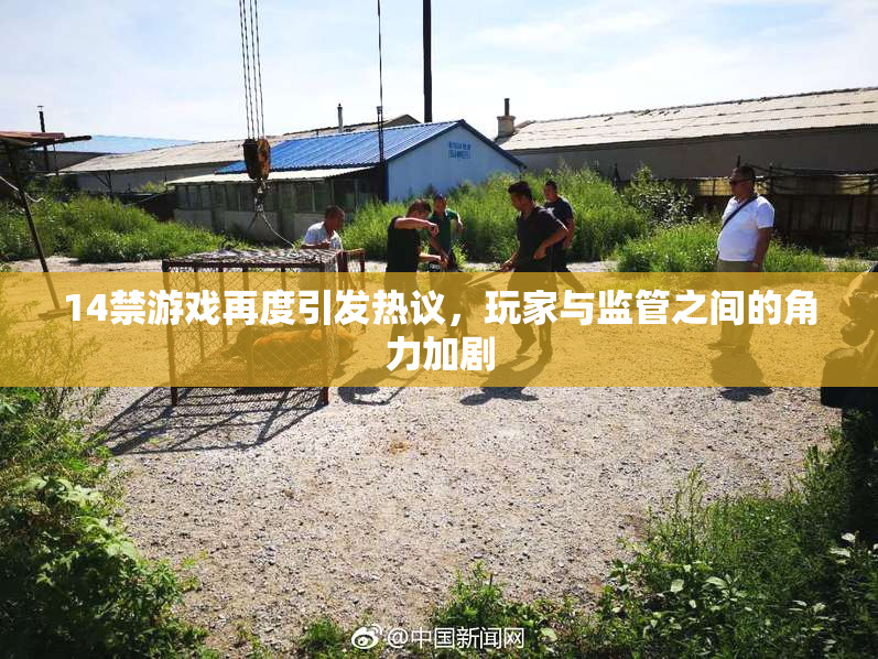14禁游戏再度引发热议，玩家与监管之间的角力加剧
