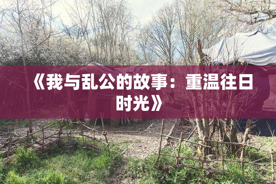 《我与乱公的故事：重温往日时光》