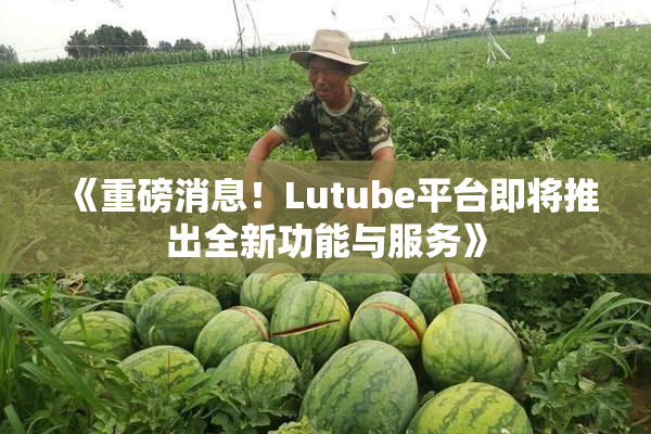 《重磅消息！Lutube平台即将推出全新功能与服务》