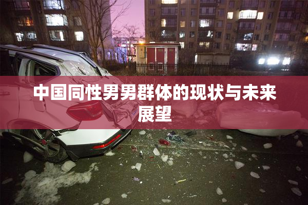中国同性男男群体的现状与未来展望