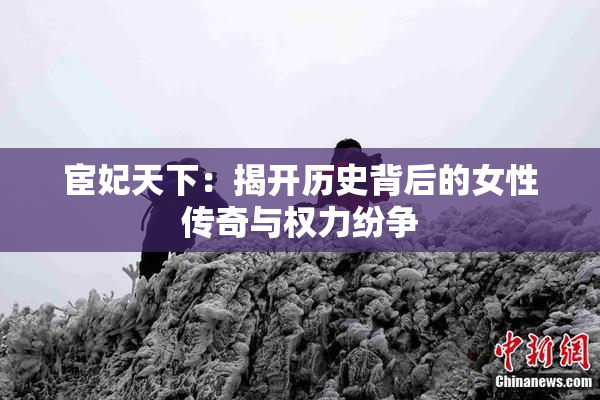 宦妃天下：揭开历史背后的女性传奇与权力纷争