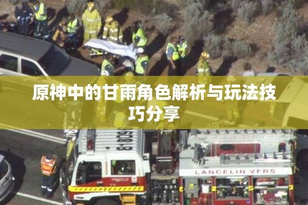 原神中的甘雨角色解析与玩法技巧分享