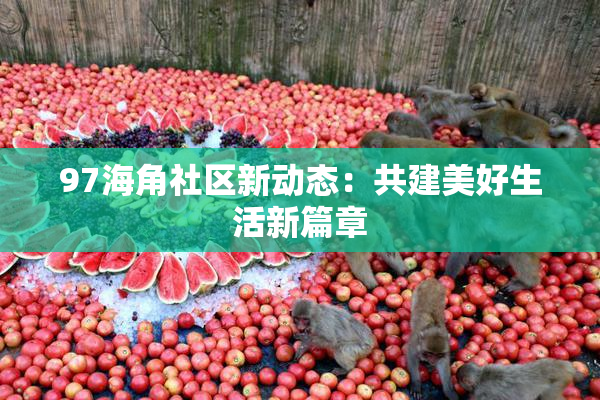 97海角社区新动态：共建美好生活新篇章