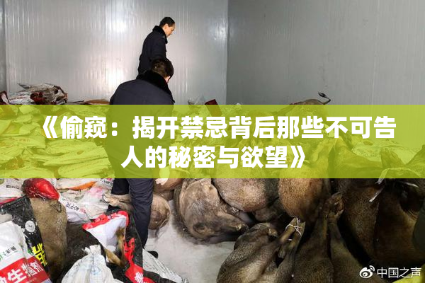 《偷窥：揭开禁忌背后那些不可告人的秘密与欲望》