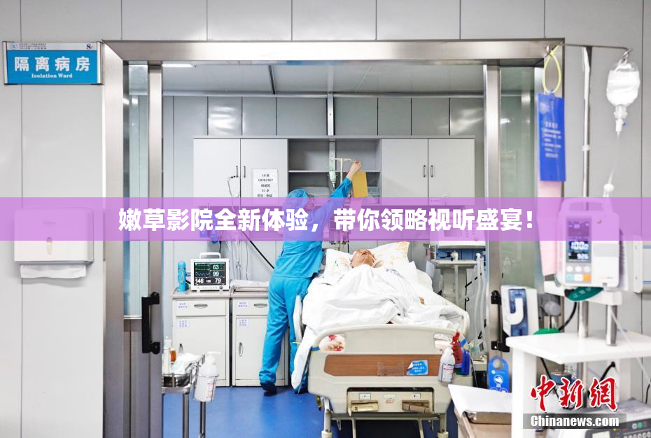 嫩草影院全新体验，带你领略视听盛宴！
